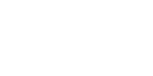 Logo FitGun