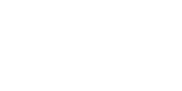 Logo Van Dam Datapartners